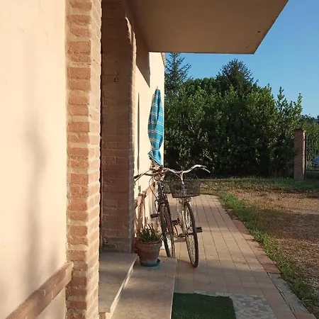 Yogalujah Holistic Campofilone